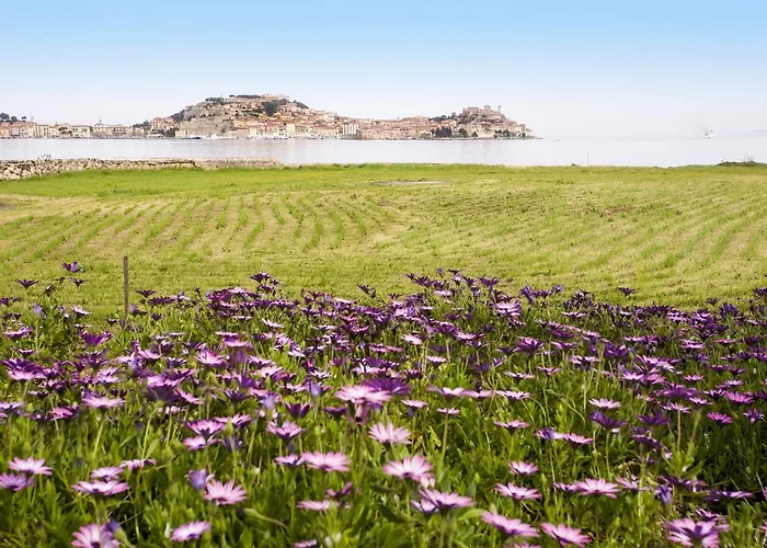 Daire Podere San Marco - Bilocale Portoferraio